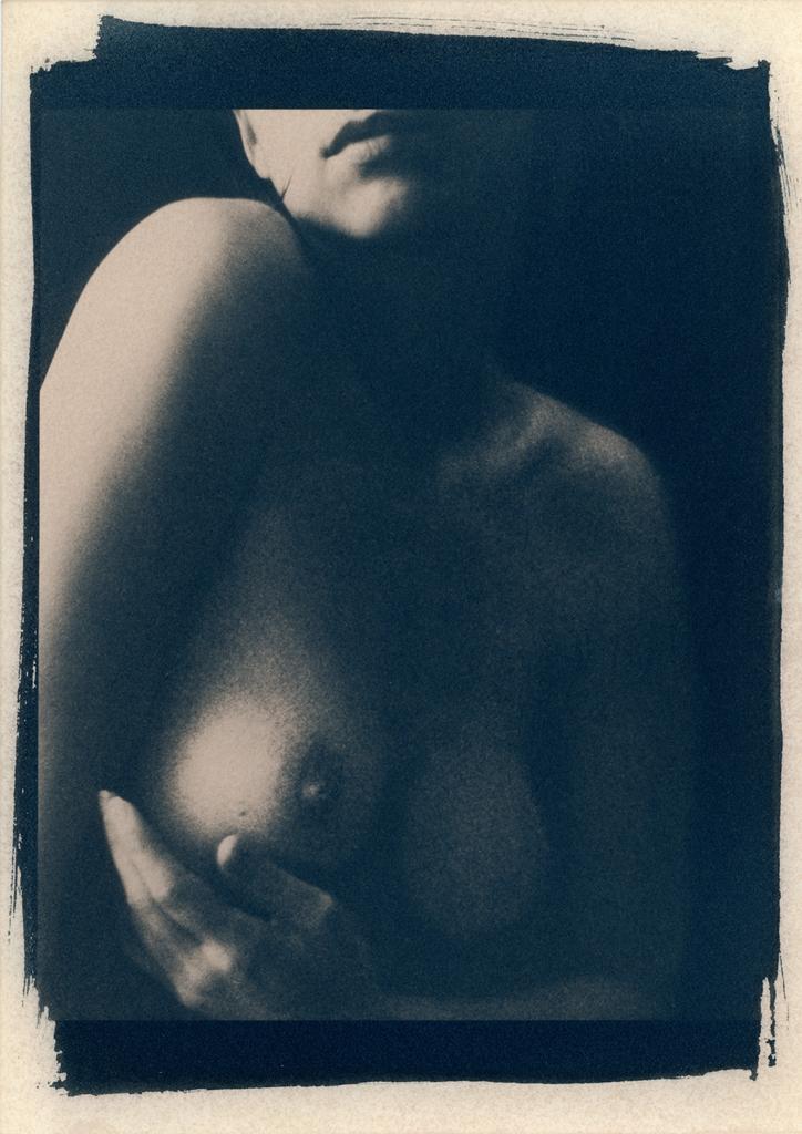 cyanotype print gallery