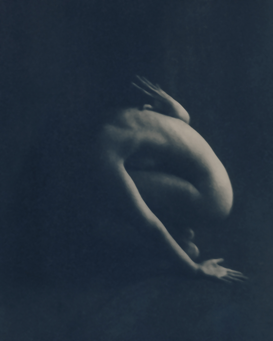 cyanotype print gallery