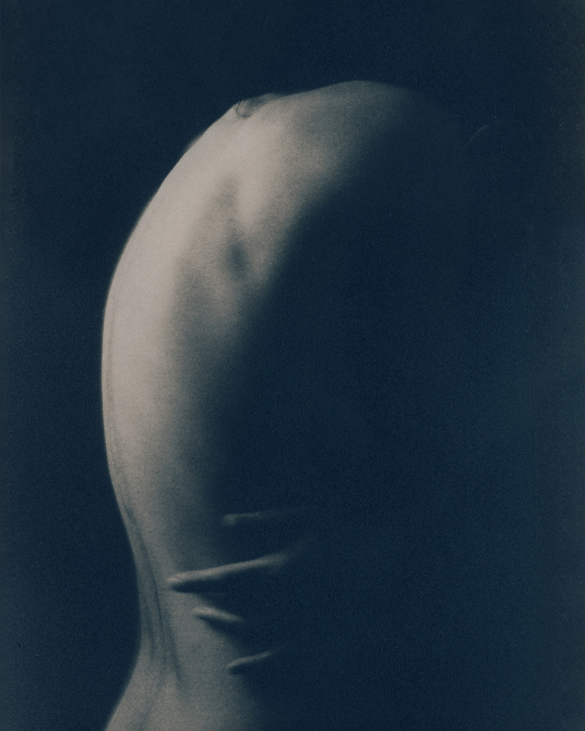 cyanotype print gallery