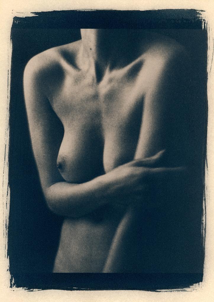 cyanotype print gallery