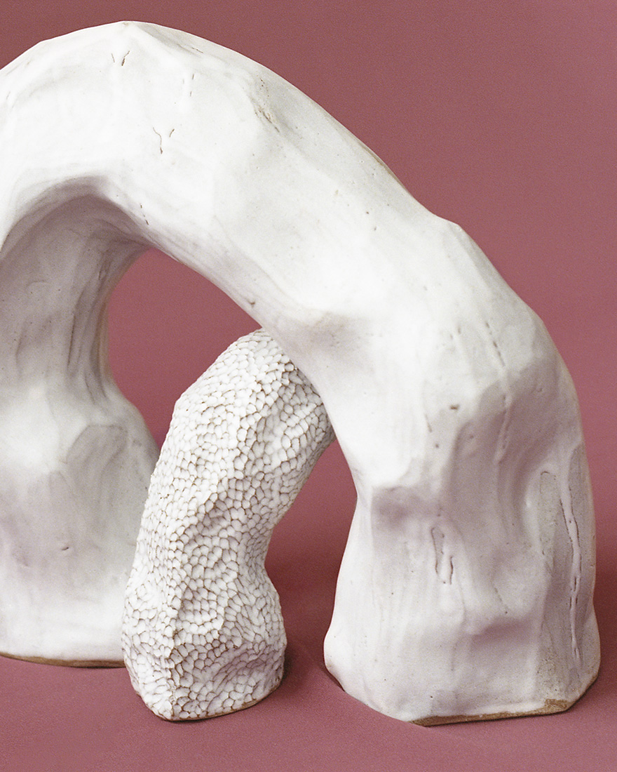 Still life photographer